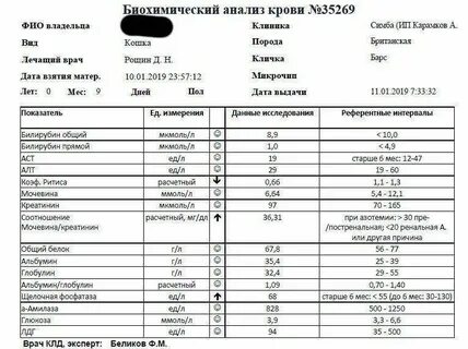 Соотношение белка к креатинину