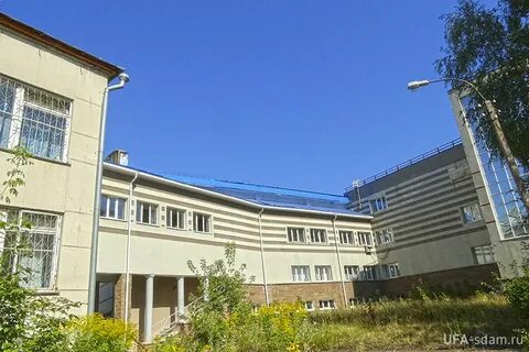 Филиалы университета плеханова