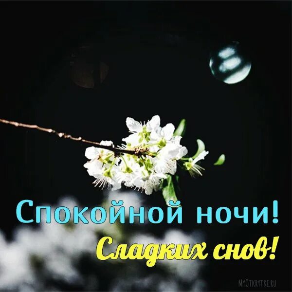сказочный сон. спокойной ночи вечнние. доброй весенней ночи пожелания. спокойной летней ночи. спокойной ночи весенние красивые новые.