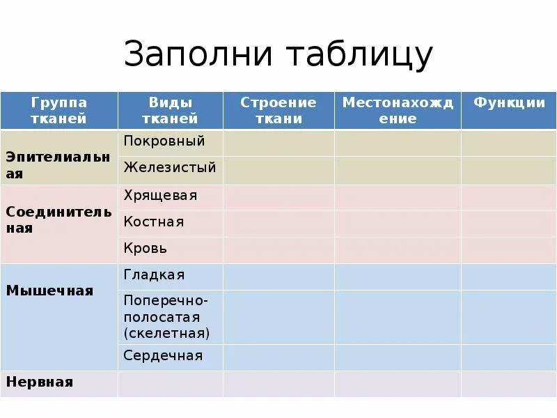 Заполните таблицу виды тканей. Виды тканей таблица. Ткани и их функции таблица. Заполнить таблицу по тканям. Заполните таблицу ткани человека