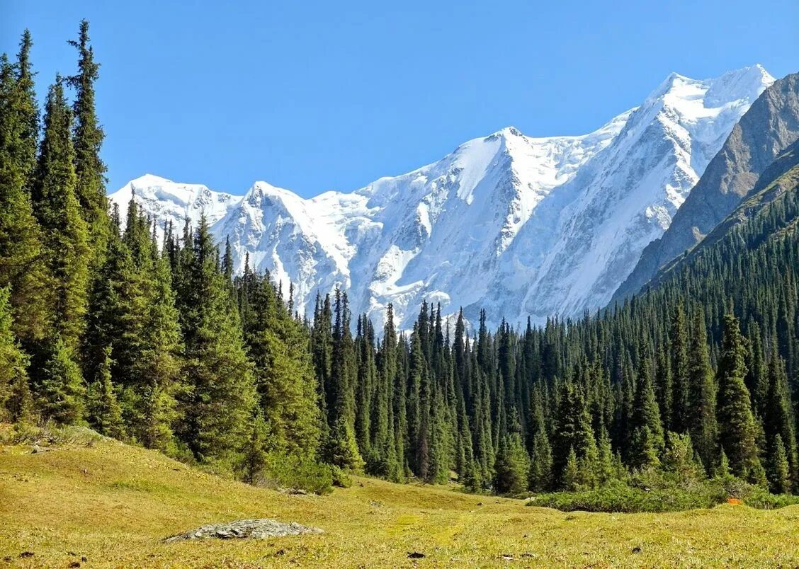 Хребет терскей ала-тоо. Кыргызстан горы тянь-шань. Ала-тоо киргизия горы. Горы кыргызстана ала арча. Кыргыз ала.