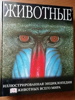 Обитатели отзыв