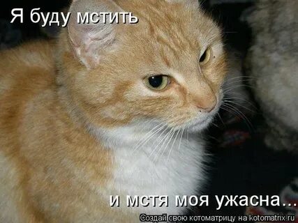Когда будем мстить за курск