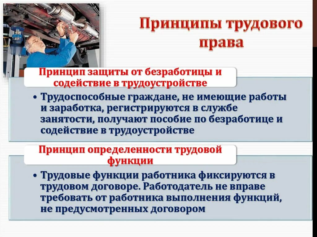 Трудовое содействие. Трудовое право. трудовое право презентация. принцип защиты от безработицы. принципы трудового права.