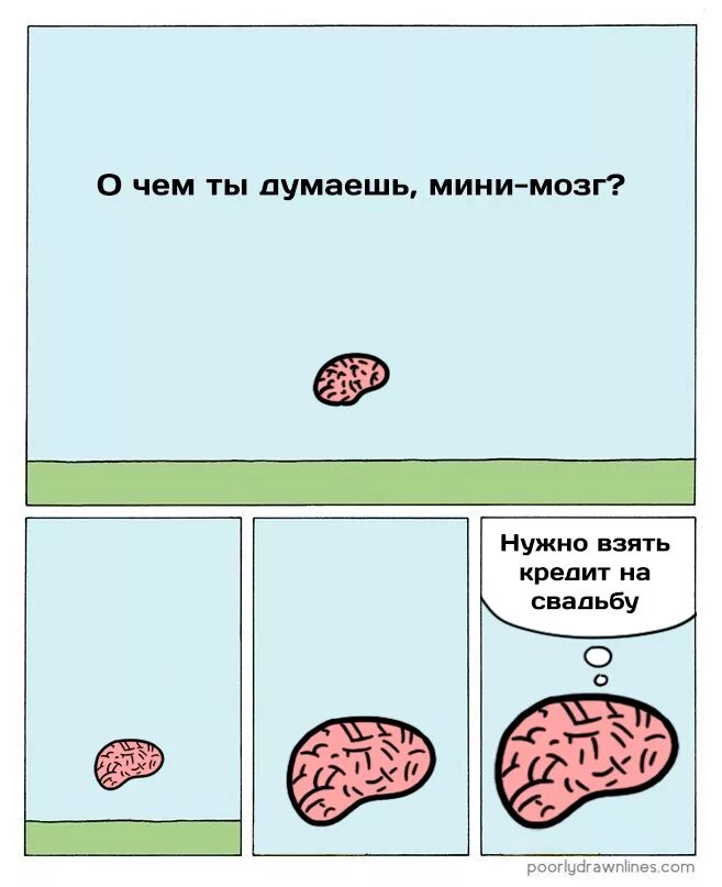 Почему без мозгов. Анекдоты про мозг. Мозг прикол. Шутки про мозги.