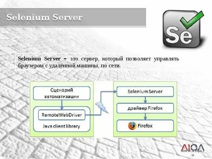 Selenium path