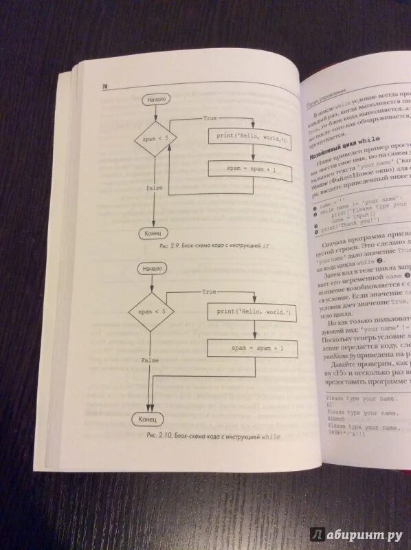 Задачи python книга. Автоматизация рутинных задач с помощью. Python автоматизация рутинных задач. Свейгарт автоматизация. Книга автоматизация рутинных задач на Python.