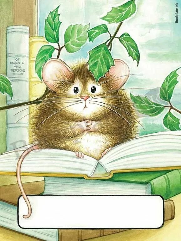 Читать книгу мышка