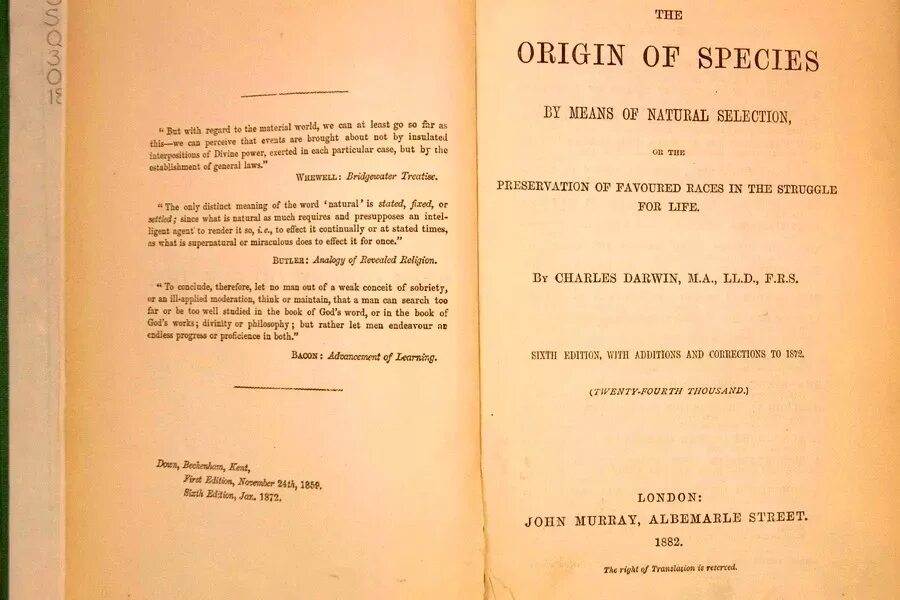 What is the origin of. Charles darwin the origin of species. origin of species книга. происхождение видов оригинал.