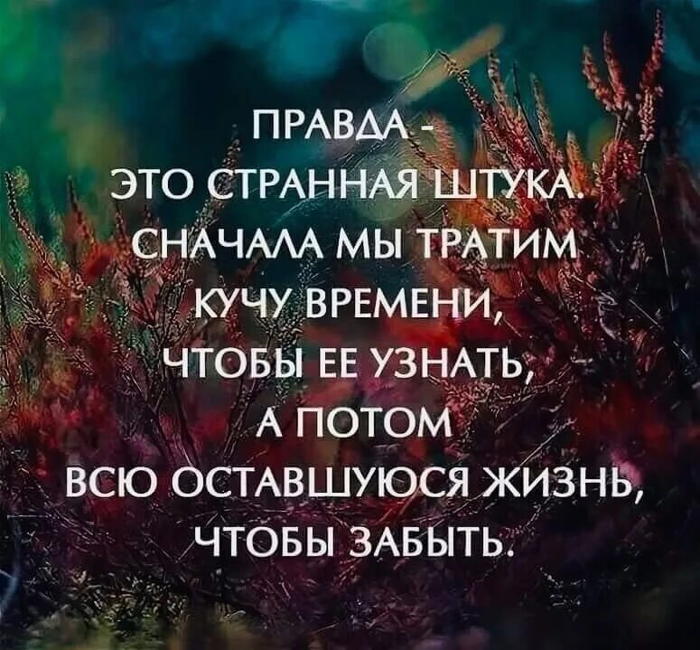 Коротко но емко. Умные высказывания. Мудрые цитаты. Умные фразы. Цитаты со смыслом.