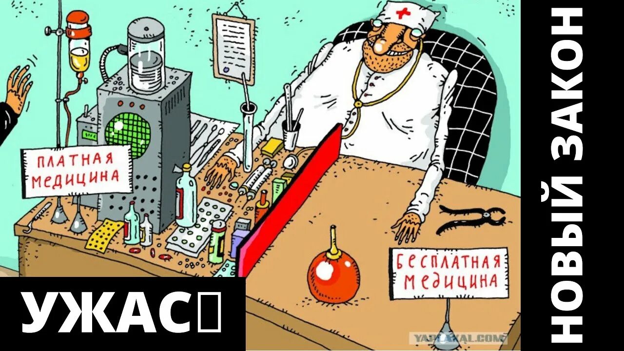 Высказывания о медицине. Бесплатная медицина отзывы. Бесплатная медицина отзывы. Платная и бесплатная медицина мем. Медицина карикатура.