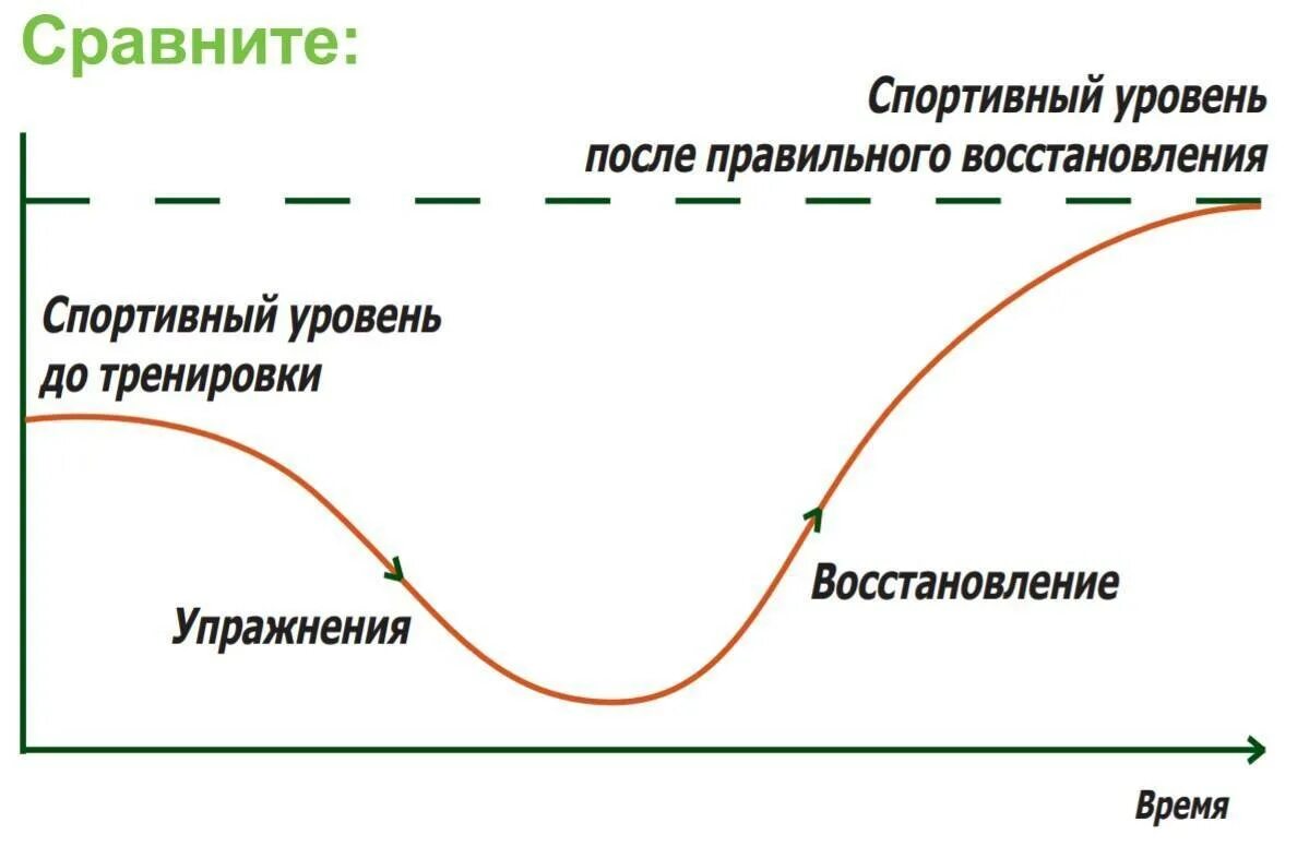 Организм восстановится быстрее после. Фазы восстановления суперкомпенсация. Восстановление мышц после тренировки. Этапы восстановления мышц после тренировки. График восстановления мышц после тренировки.