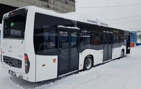 Когда будут последние белые автобусы в спб