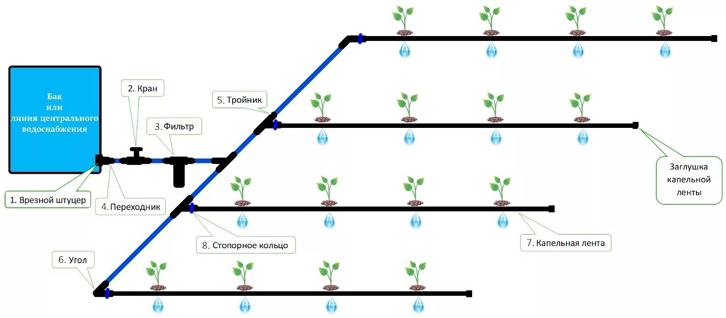 Капельный полив как правильно установить. Схема установки капельного полива в теплице. принципиальная схема устройства капельного полива. система капельного орошения схема. схема капельный полив из пнд.
