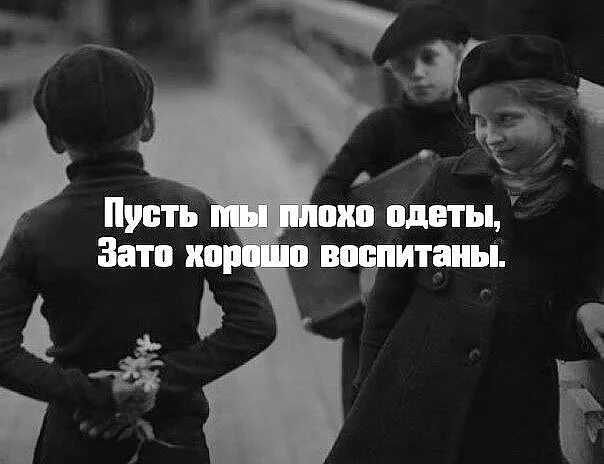 Ну я воспитанная. Хулиганить цитаты. Взгляд пумы мем. Ерунда мем. Ну я воспитанная.