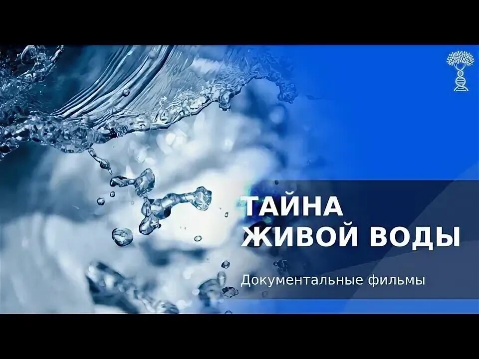 Picture background