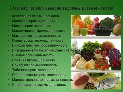 Вид деятельности пищевая промышленность