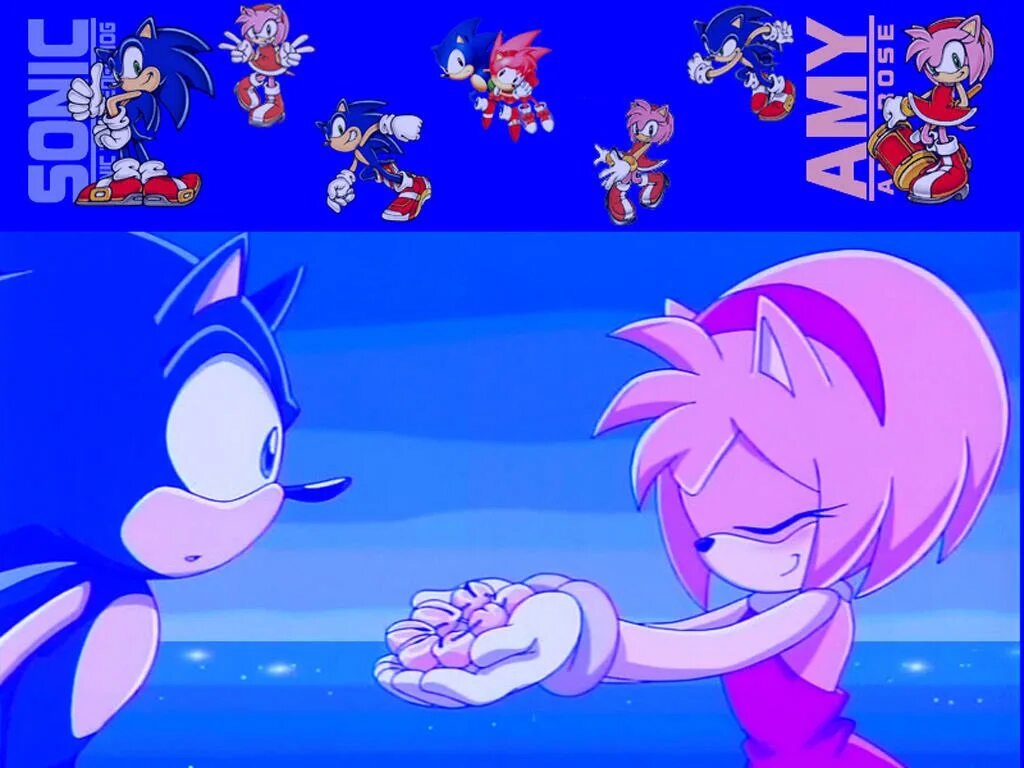 Спасенный соником профессор в игре. Sonic против Эми. Эми убегает от Соника. Соник против Эми. СОНЭМИ 52.