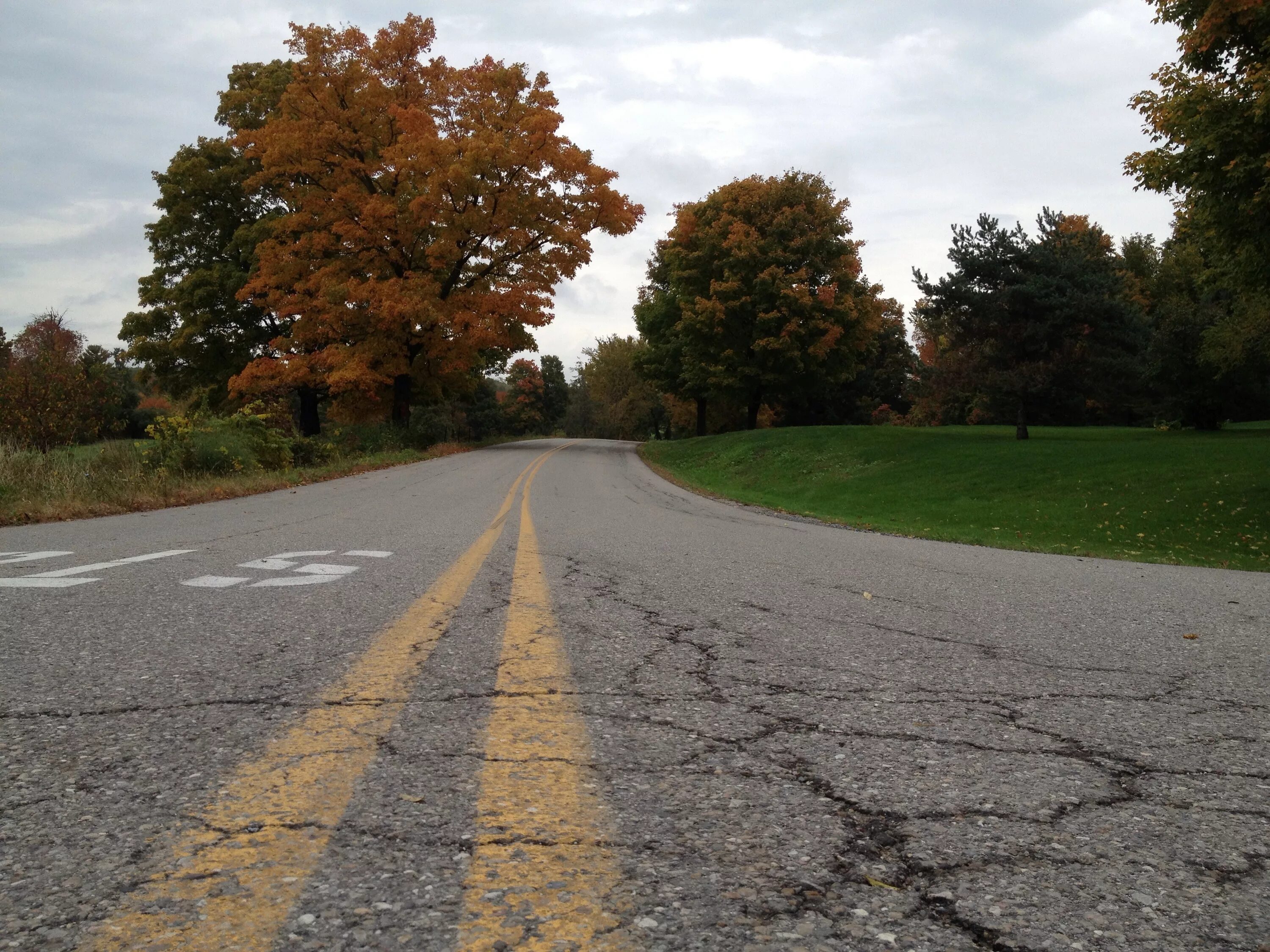 М5 асфальт осень. Листья на дороге. Дорога поверхность. Дорога асфальт листвой. Дорога осень асфальт.