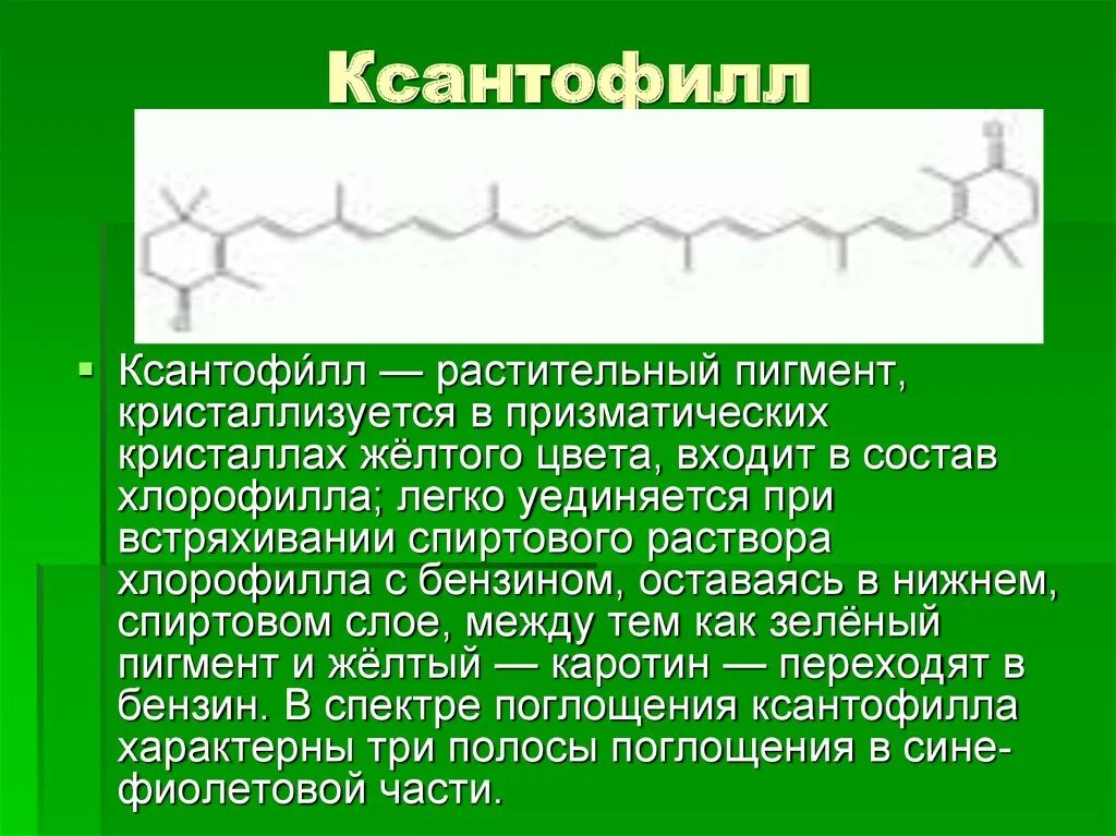 Пигмент каротиноиды. Каротиноиды и ксантофиллы. Хлорофилл ксантофилл каротин. Пигменты растений хлорофилл каротиноиды ксантофиллы. Каротин ксантофилл хлорофиллы метод.