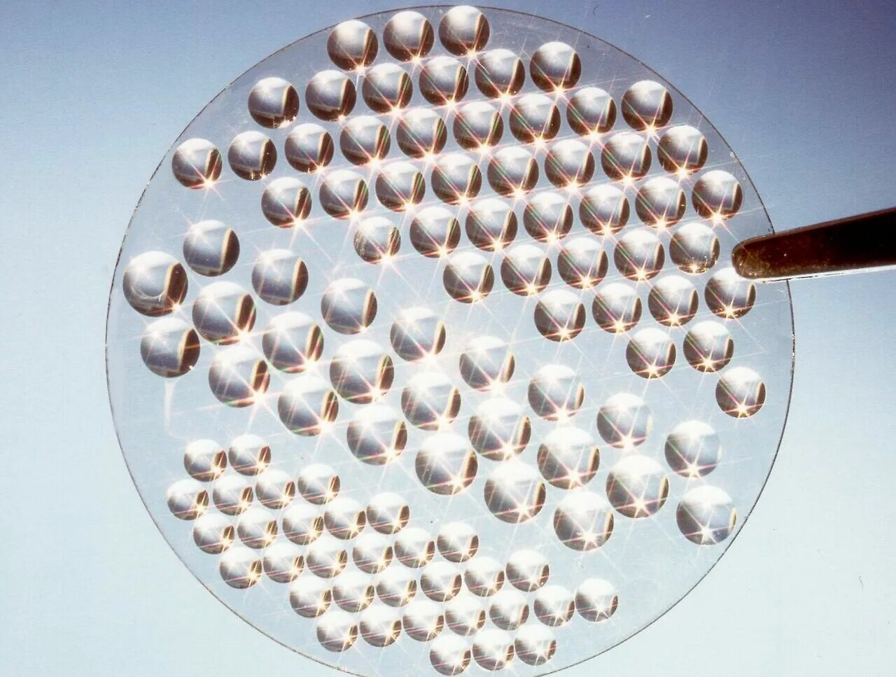 Lens array. Микролинзы оптические. световод с микролинзой силма-01. свет микролинзы. micro lens array as lens.