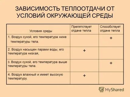 Лет в зависимости от условий