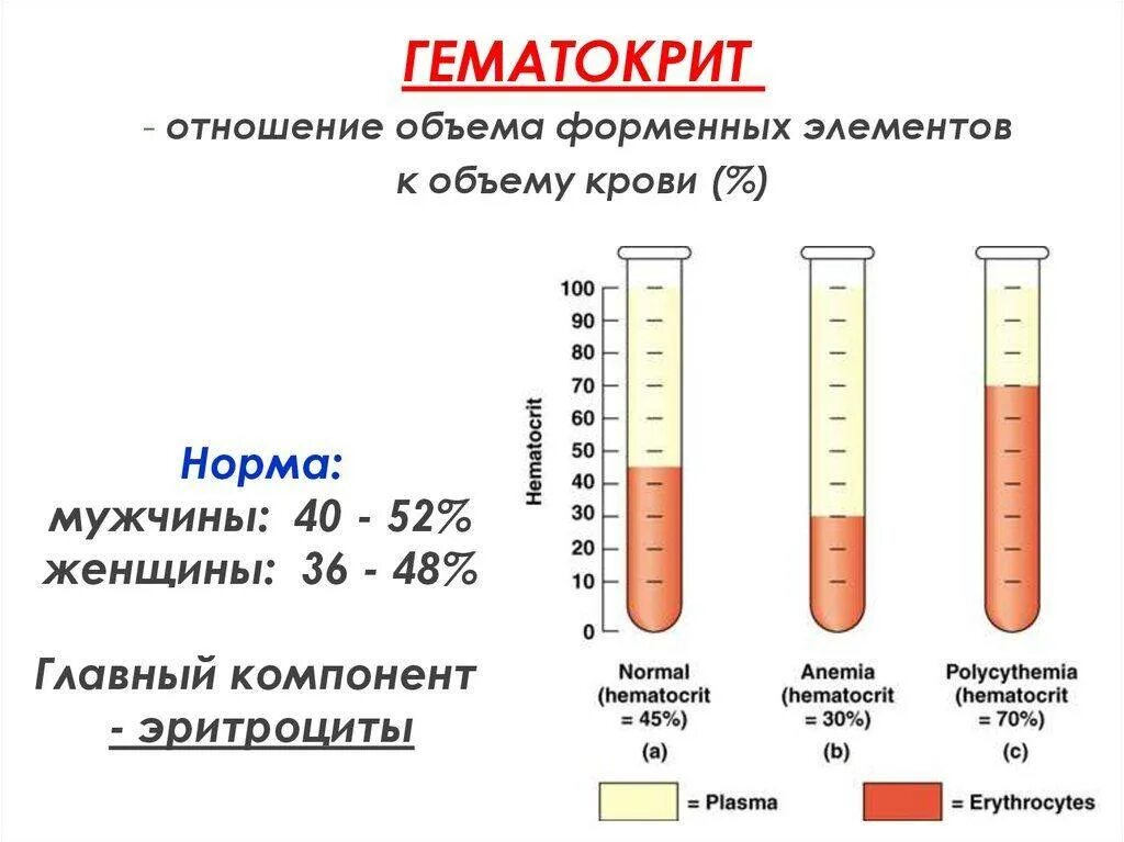 Гематокрит понижен что это значит у женщины. Гематокрит показатели нормы у женщин. анализ крови показатели нормы гематокрит. показатель гематокрита в крови норма. гематокрит в анализе крови норма.