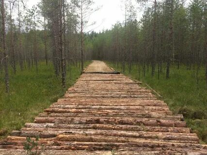 Рабочие настилы лесов