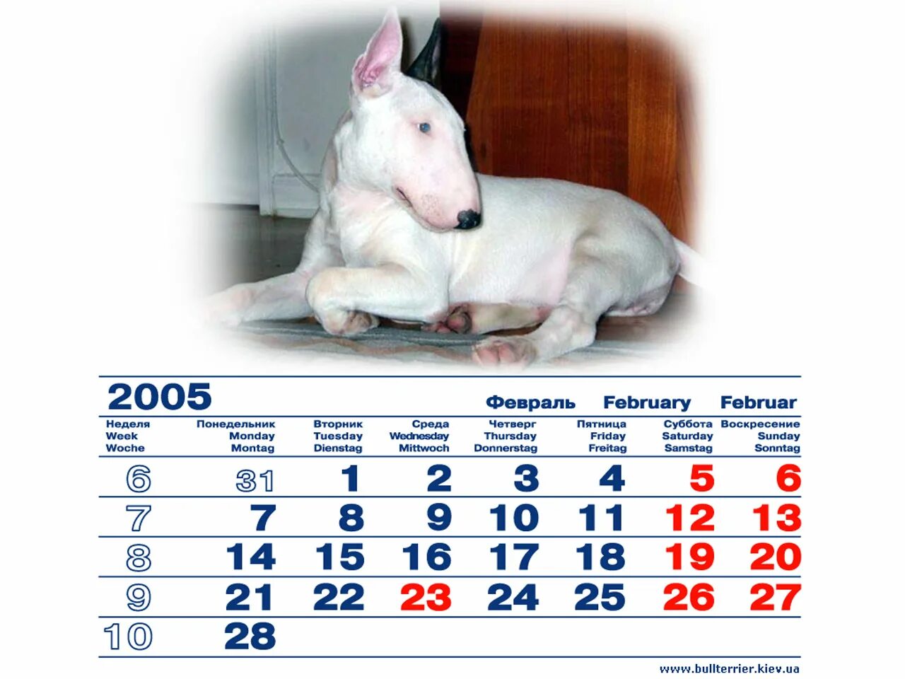 календарь 2005 года по месяцам. календарь 2005. праздники 2014 года. январь 2005 календарь. февраль 2005 сколько дней.