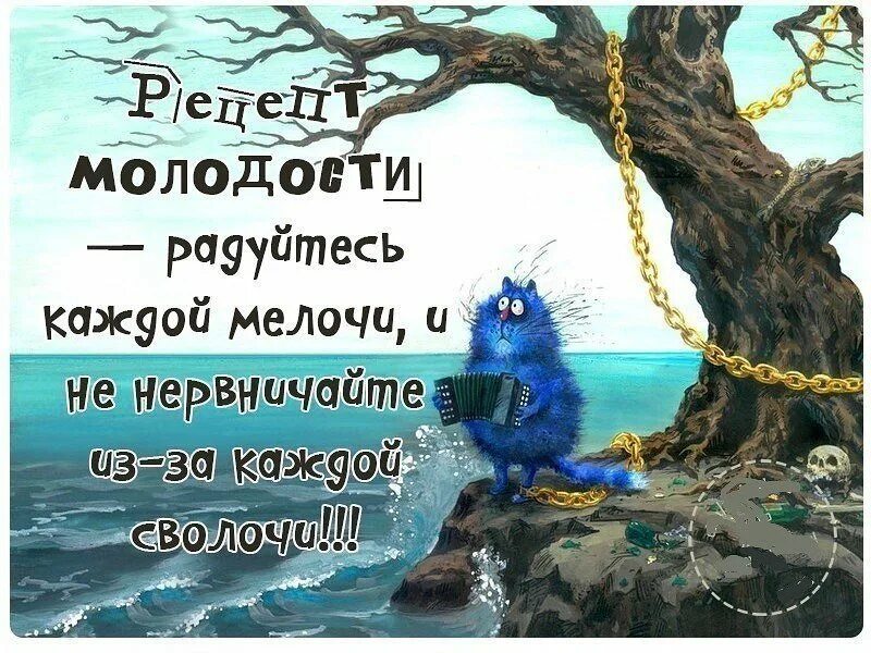 Радуйтесь жизни приколы. Афоризмы про радость. Рецепт молодости радуйтесь каждой мелочи и не нервничайте из-за. Радуйтесь каждой мелочи жизни. Радоваться мелочам жизни цитаты.