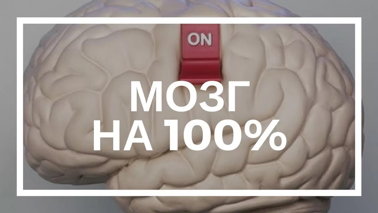 Мозг использует 10. Мозг 100%. Человеческий мозг на 100 процентов. Развить мозг на 100 %. Мозг работает на 100 процентов.