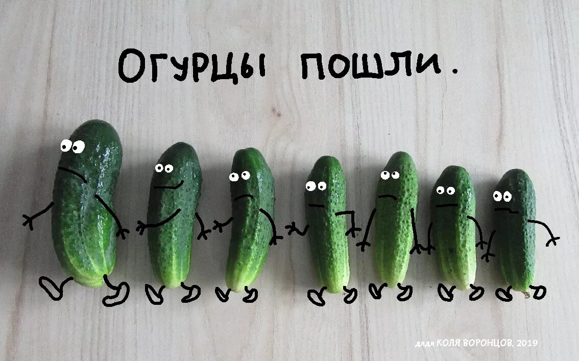 Огурцы пошли картинка прикольная. Прикольный огурец. Открытка " огурцы ". Огурец. Огурчик прикольный.