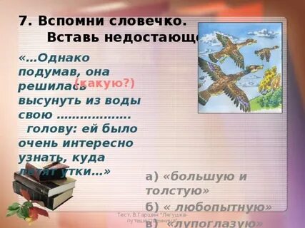 Синквейн лягушка путешественница