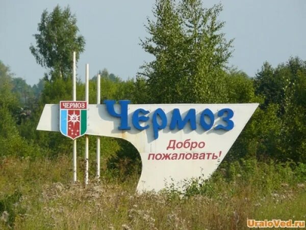 Фестиваль на природе. Наше лето фестиваль чермоз. Небесная ярмарка кунгур 2024. Город чермоз достопримечательности. Как празднуем праздник цветов.