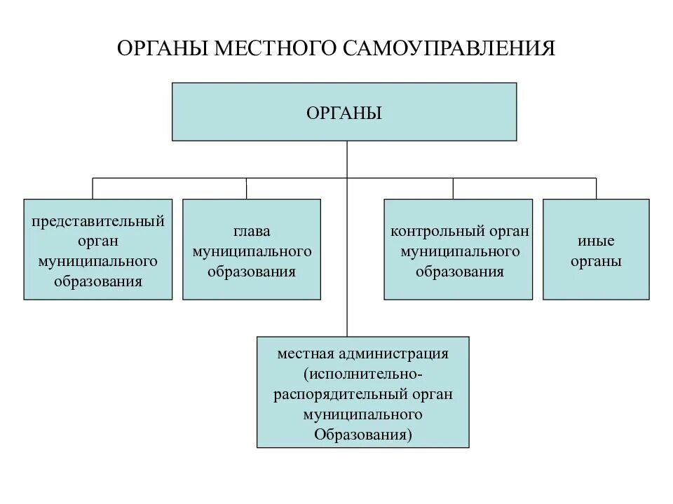 Что значит исполнительный орган. Что входит в структуру органов местного самоуправления. что относится к органам местного самоуправления. схема ветви власти органы местного самоуправления. система органов исполнительной власти муниципалитета рф.
