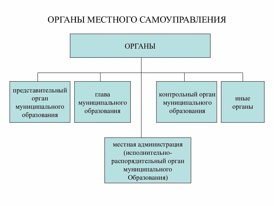 Что входит в структуру органов местного самоуправления. Что относится к органам местного самоуправления. Схема ветви власти органы местного самоуправления. К исполнительным органам местного самоуправления в России относится.