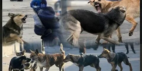 Джинс пиджактағы секс