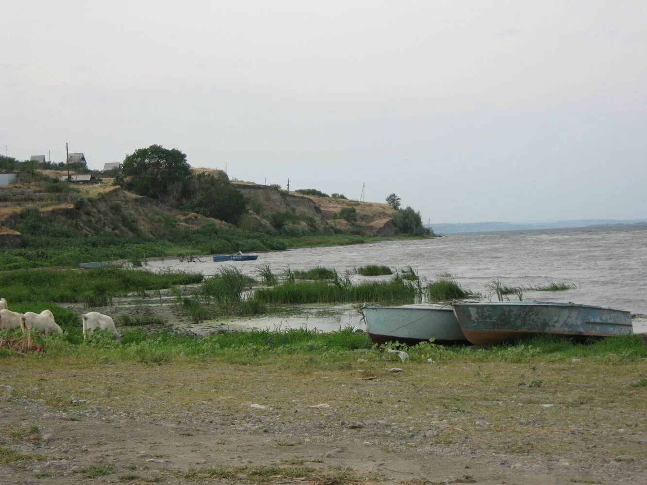 Село синенькие саратовская область. Синенькие саратовская область. синенькие саратовская область саратовский район. волга синенькие село саратовская область. село синенькие саратовская область пристань.
