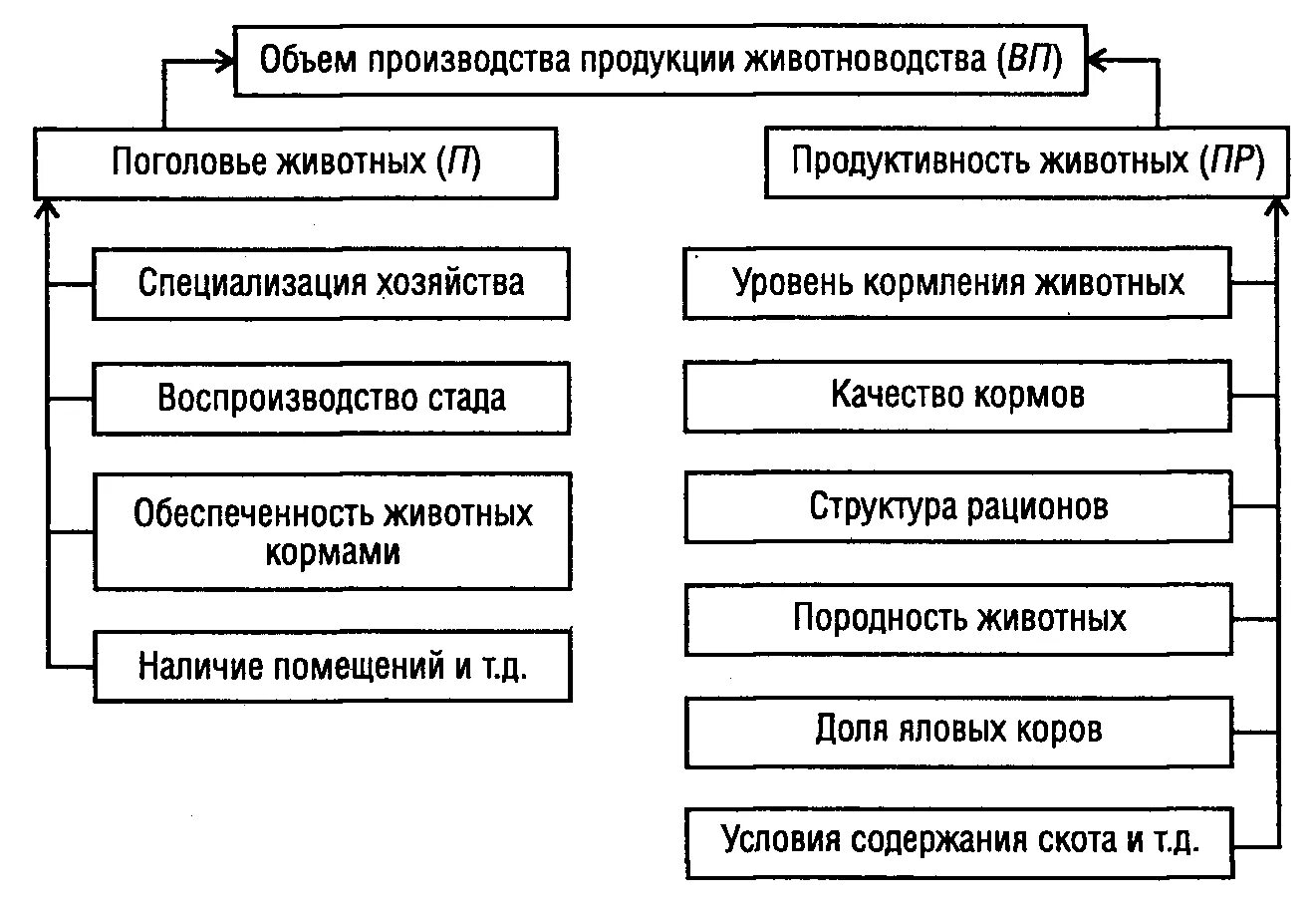 Молочные фермы. Производства продукции скотоводства. Продукция животноводства. Технология производства продукции животноводства. Производства продукции скотоводства.