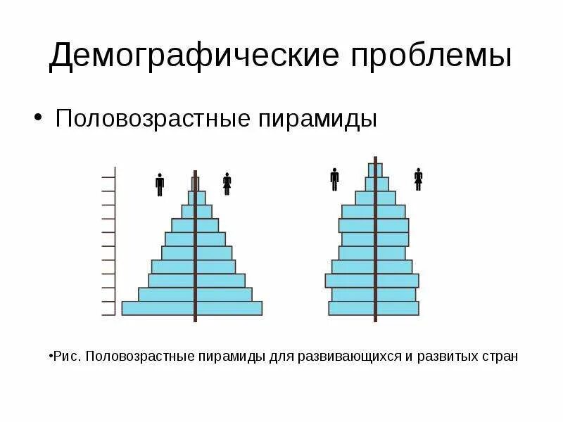 Составление демографического профиля развитых и развивающихся стран. Демографическая пирамида развитых стран. половозрастная пирамида. половозрастная пирамида развивающихся стран.
