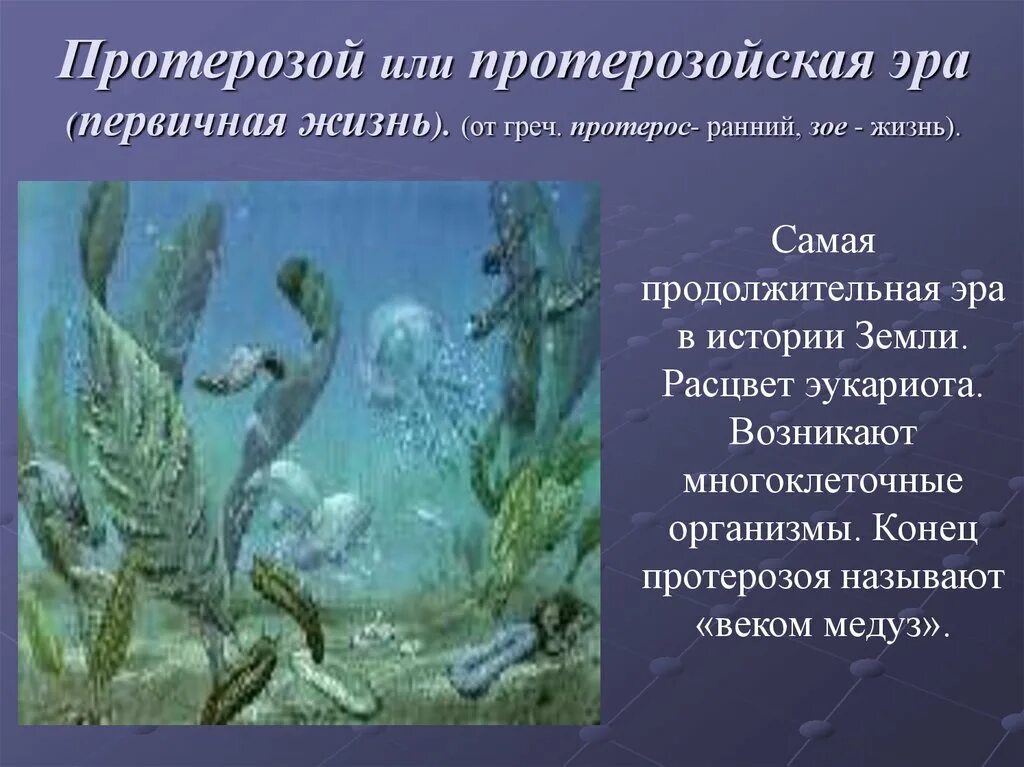 Жизнь возникла в первичном. Рифейский период протерозойской эры. Протерозойская Эра многоклеточная водоросль. Архейская или протерозойская Эра. Архейская Эра Палеозойская.