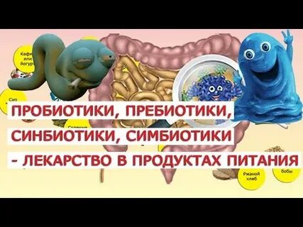 Пробиотики после антибиотиков форум