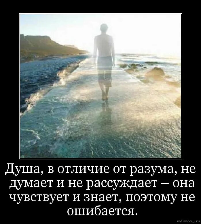 Душа моя полна. Душа в отличие от разума не думает. Душа не ошибается. Душа в отличие от разума. Душа демотиватор.