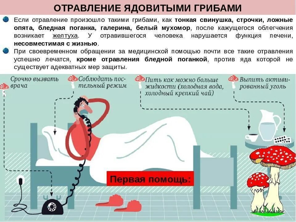 Что делать если через. Отравление ядовитыми грибами первая помощь. Оказание неотложной помощи при отравлении грибами. Признаки и первая помощь при отравлении ядовитыми грибами.. Профилактика отравления грибами.