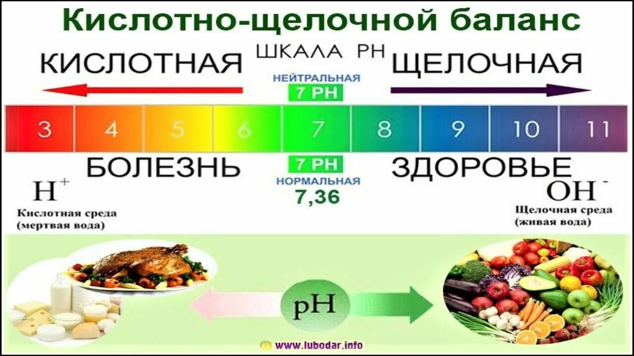 Как получить щелочное питье. Щелочные продукты таблица PH. Шкала кислотно щелочного баланса. Кислотные и щелочные продукты. Таблица кислотно щелочного баланса.