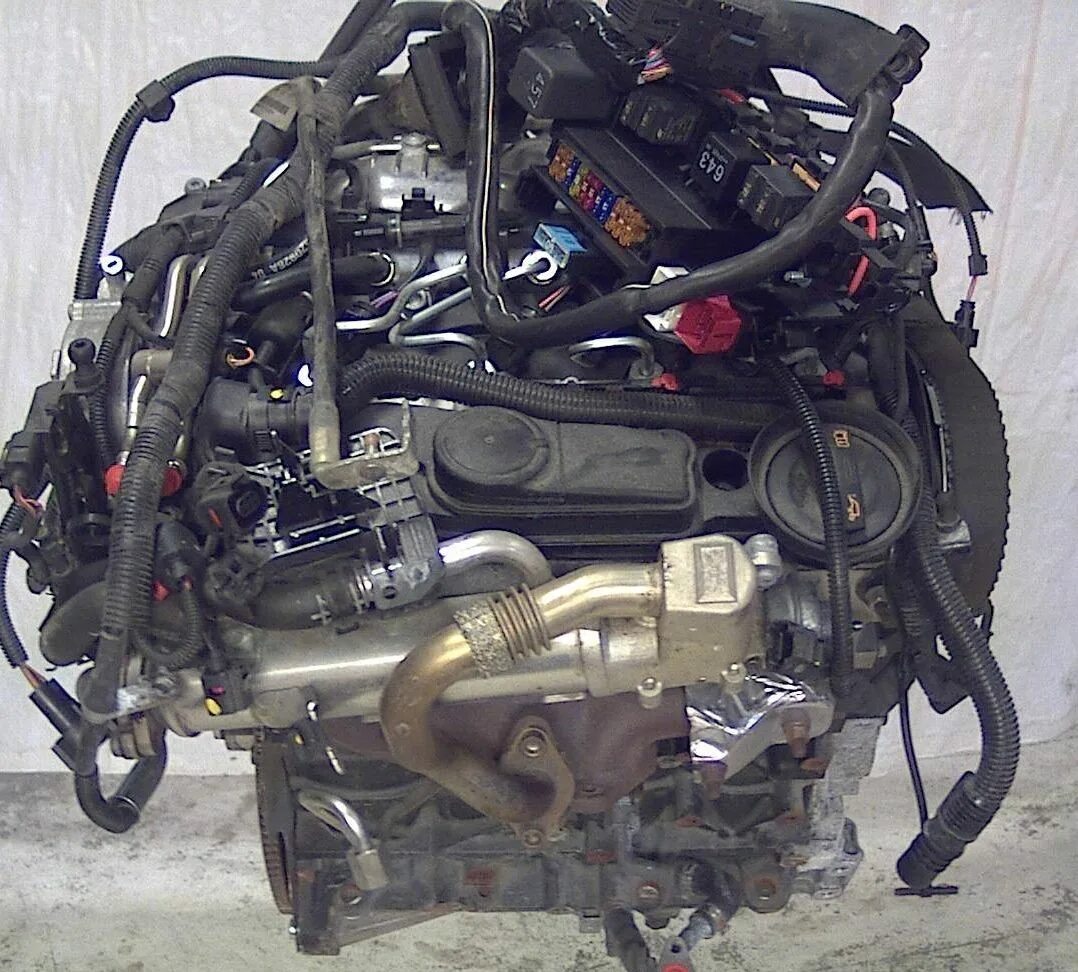 Двигатель Ауди 2.5 дизель. Ауди ку5 двигатель. Caga 2.0 TDI. Audi a6 2.0 Diesel мотор.