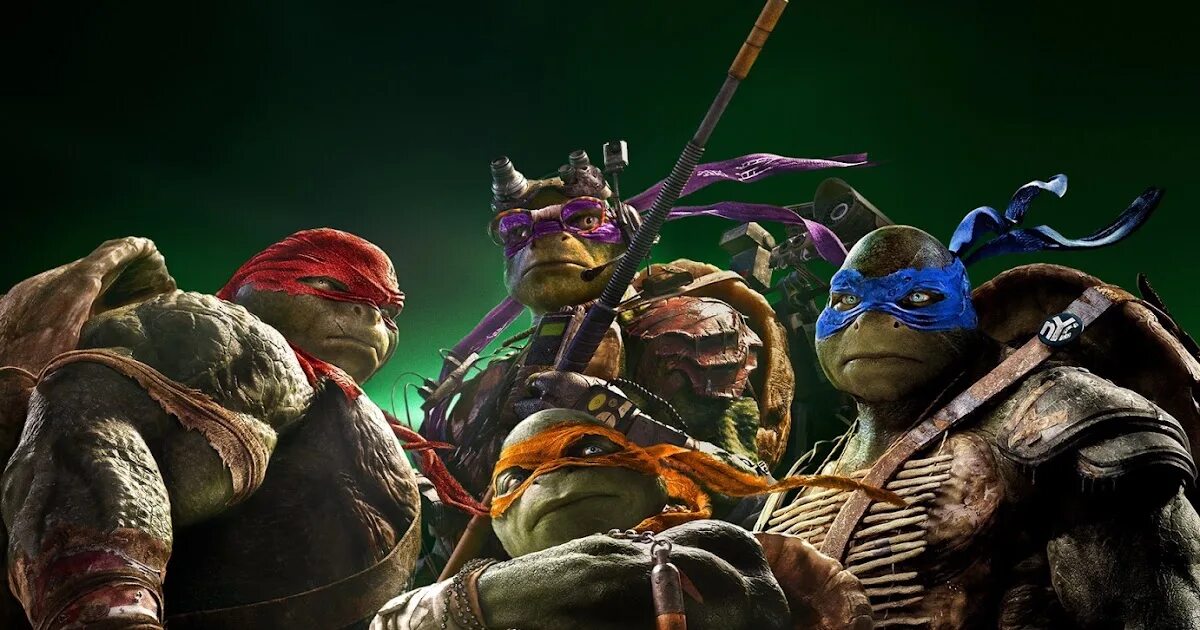 Turtles 2 in 1