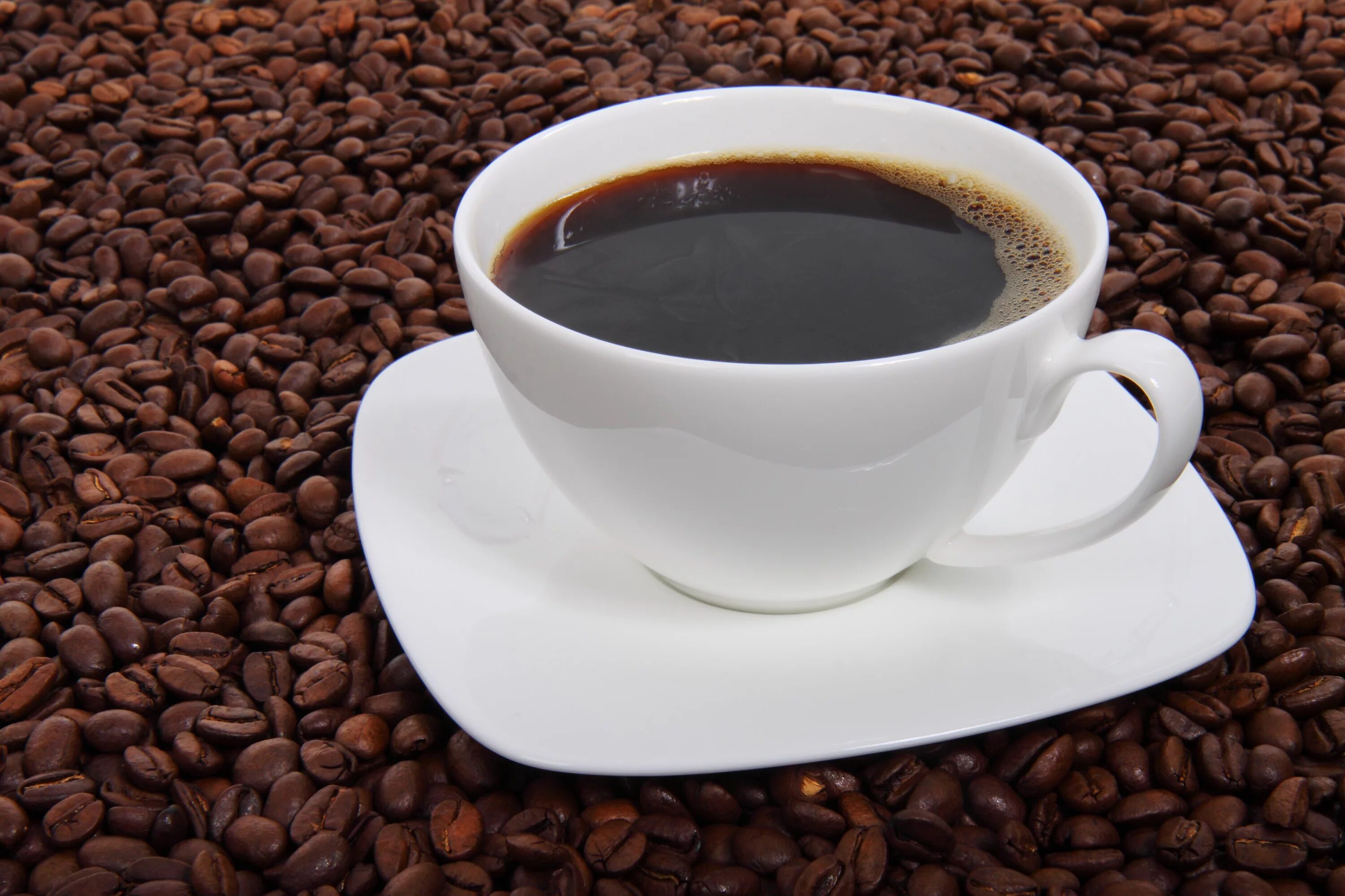 Cafe cup. Кофе. Чашка кофе. "На чашечку кофе…?!". Кофе в кружке.