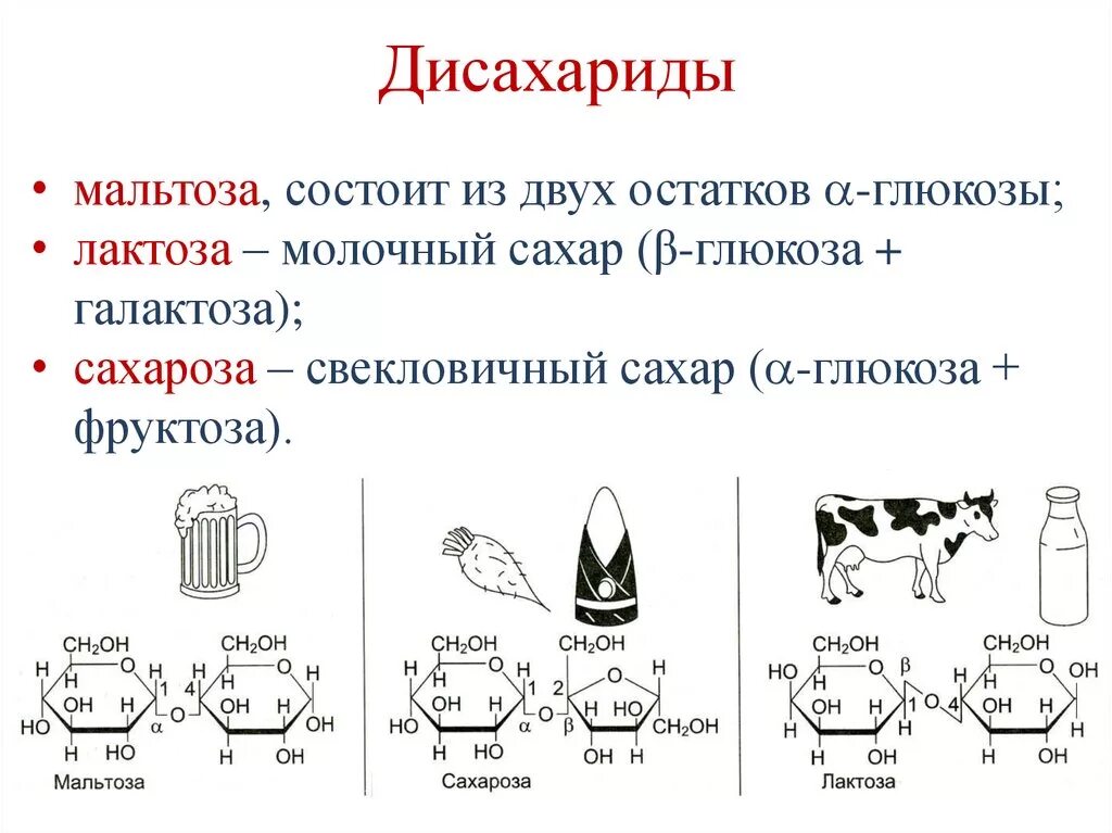 3 сахароза в отличие от глюкозы. Строение дисахарида мальтозы. Строение сахарозы и мальтозы. Формула дисахарида лактозы. Классификация строение дисахаридов формулы.