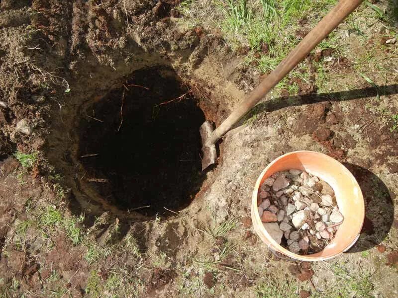 Посадочная яма для дерева. В посадочную яму добавлять. Яма для посадки дерева. В посадочную яму добавлять. Яма для посадки яблони.